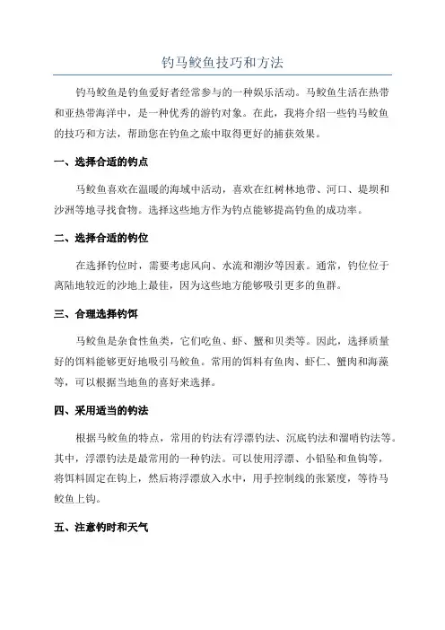 钓马鲛鱼技巧和方法