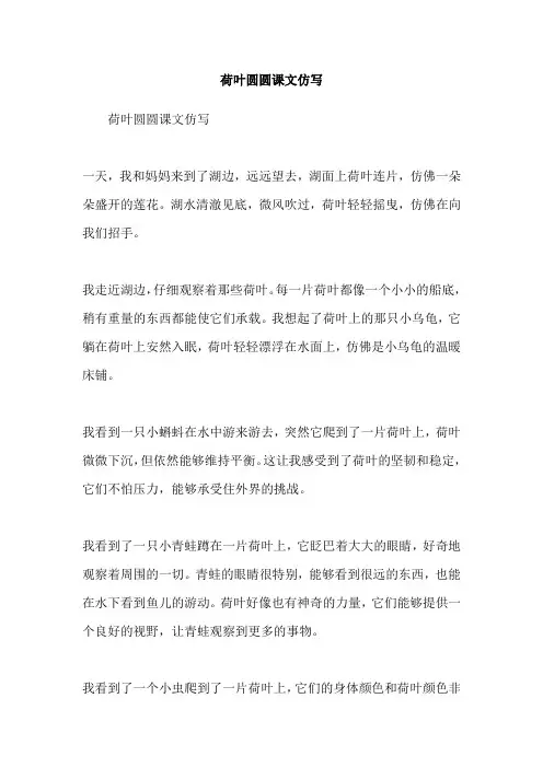 荷叶圆圆课文仿写