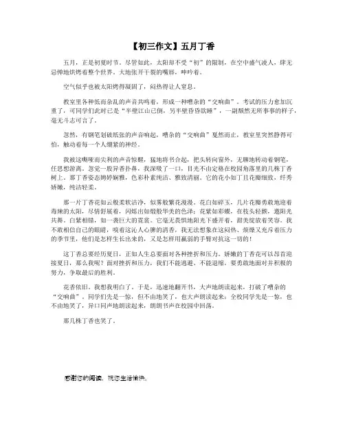 【初三作文】五月丁香