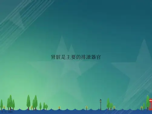肾脏是主要的排泄器官讲课文档
