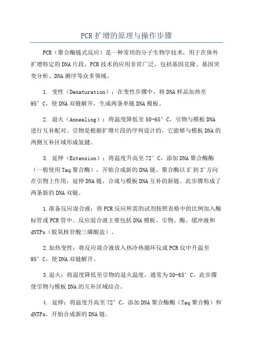 PCR扩增的原理与操作步骤