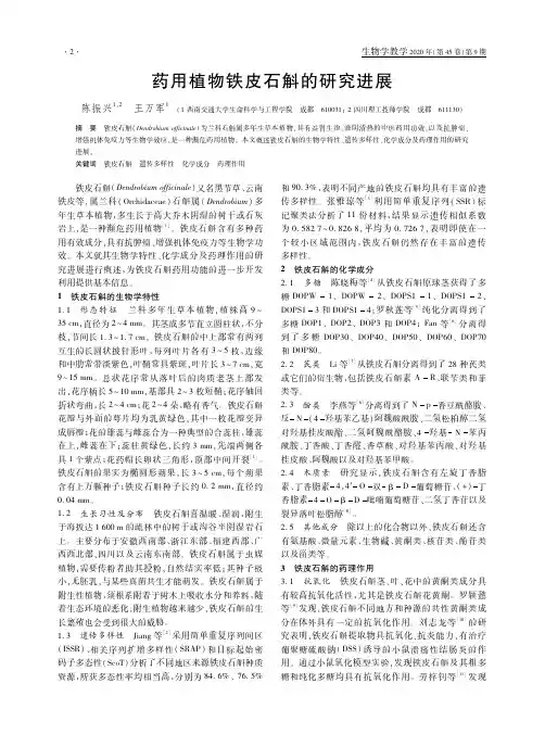 药用植物铁皮石斛的研究进展