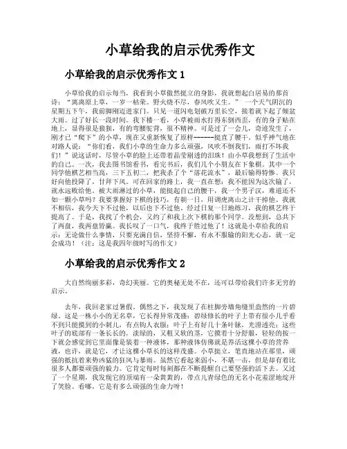 小草给我的启示优秀作文
