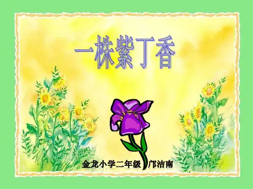 二年级语文上《识字2 一株紫丁香》64PPT课件 一等奖名师公开课比赛优质课评比
