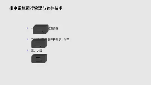 排水设施运行管理与养护技术PPT课件