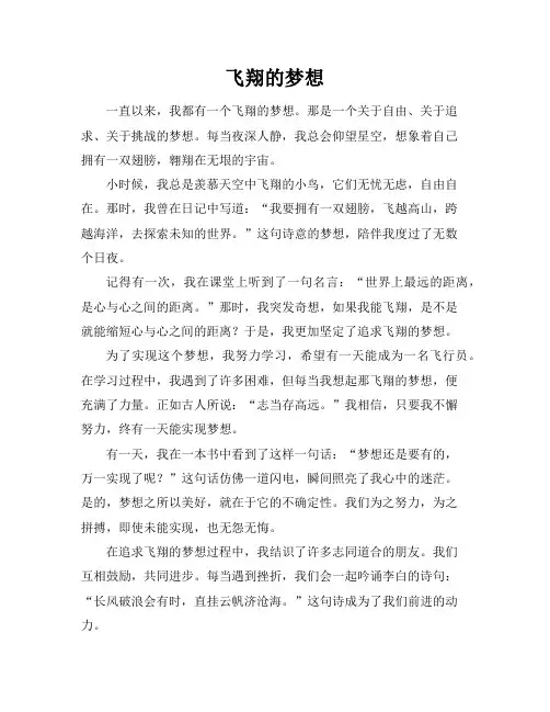 飞翔的梦想作文