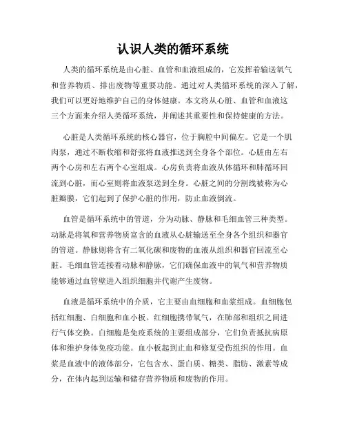 认识人类的循环系统