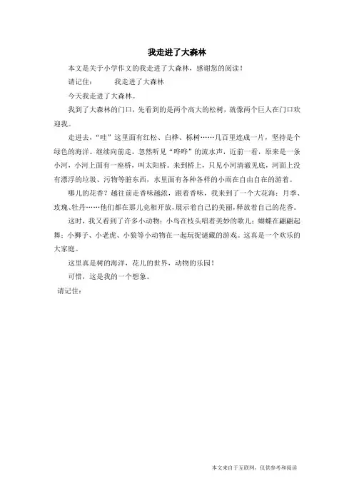 我走进了大森林_小学作文_1