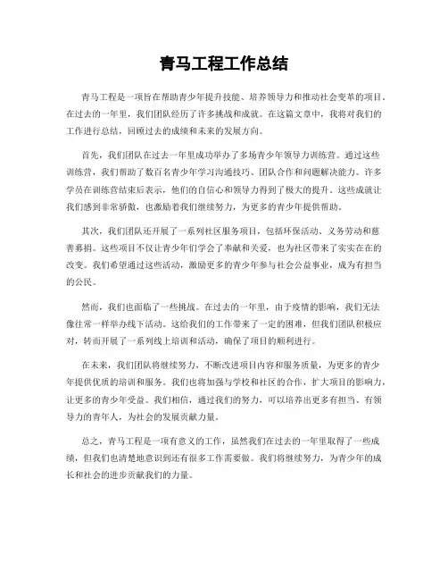 青马工程工作总结