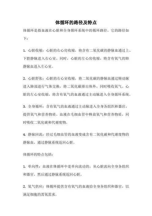 体循环的路径及特点