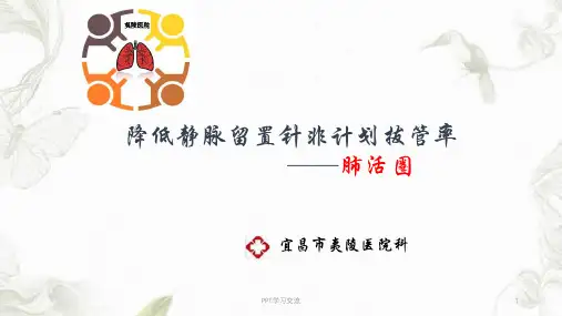 降低静脉留置针非计划拔管率ppt课件
