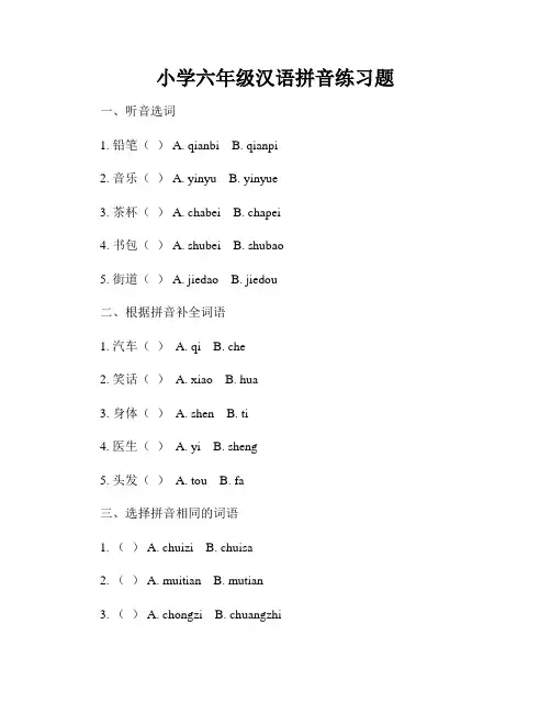 小学六年级汉语拼音练习题