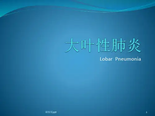 大叶性肺炎ppt课件