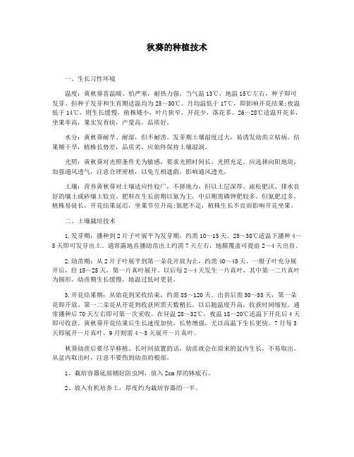 秋葵的种植技术