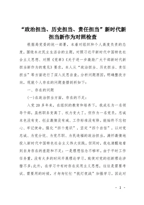 “政治担当、历史担当、责任担当”新时代新担当新作为对照检查