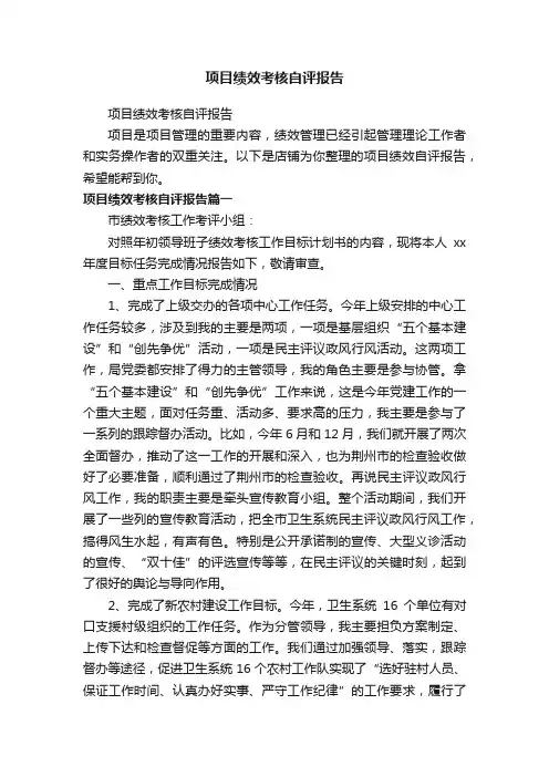 项目绩效考核自评报告
