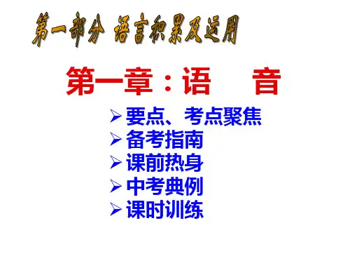 中考专题一字音复习PPT课件