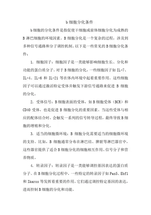 b细胞分化条件