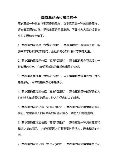 薰衣草花语和寓意句子