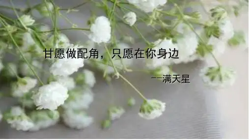 满天星(课堂PPT)