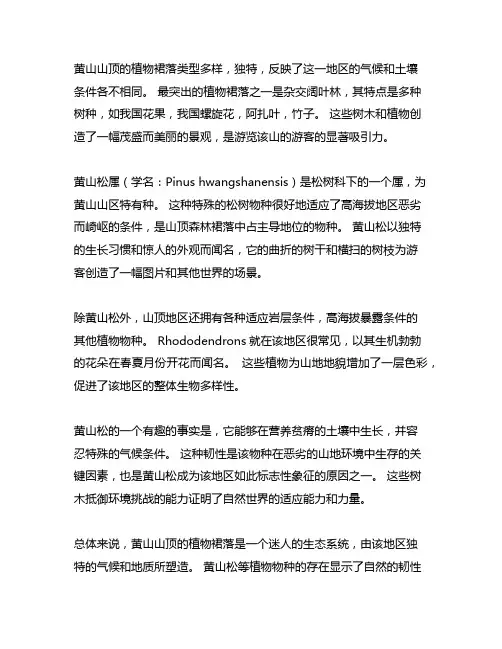 黄山山顶面区主要植物群落类型及黄山松