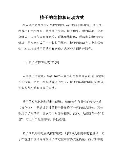 精子的结构和运动方式