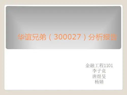 华谊兄弟(300027)证券投资分析报告