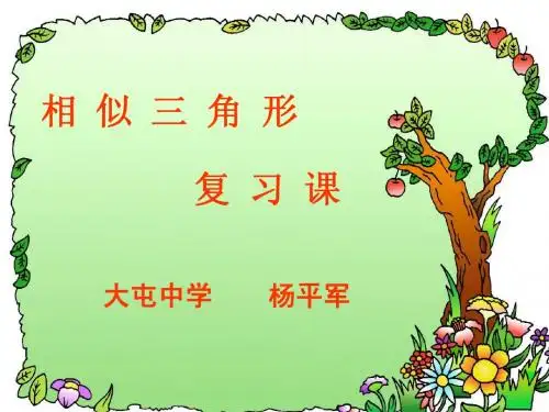相似三角形复习课PPT课件