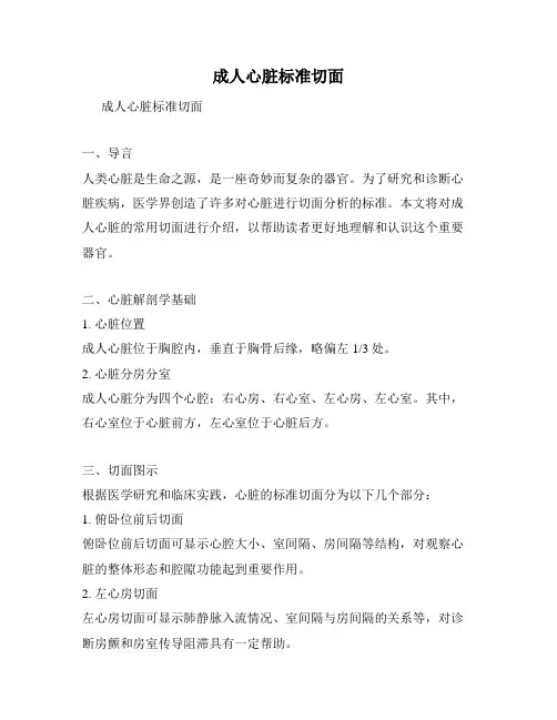 成人心脏标准切面