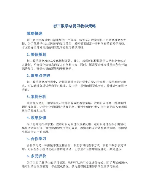 初三数学总复习教学策略