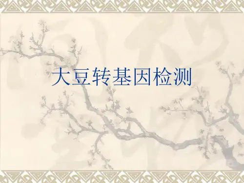 大豆转基因检测