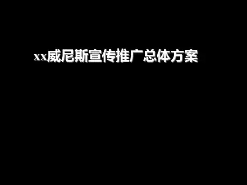 xx威尼斯宣传推广总体方案ppt42(1)