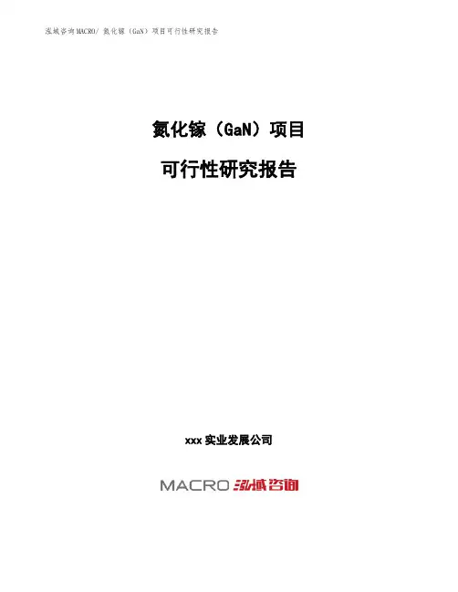 氮化镓(GaN)项目可行性研究报告