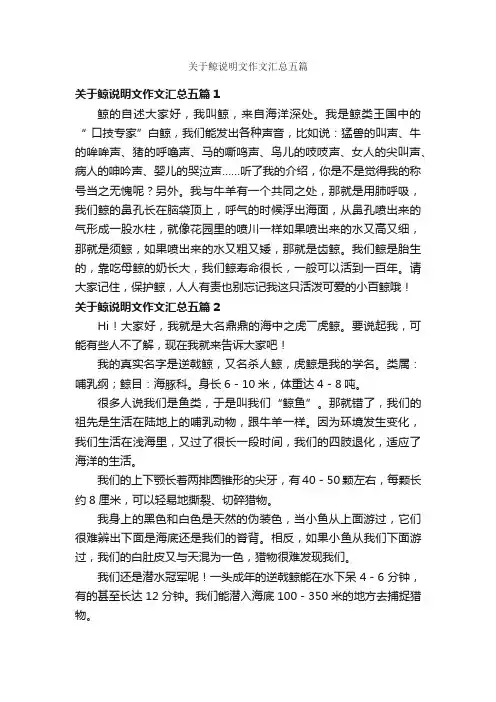 关于鲸说明文作文汇总五篇