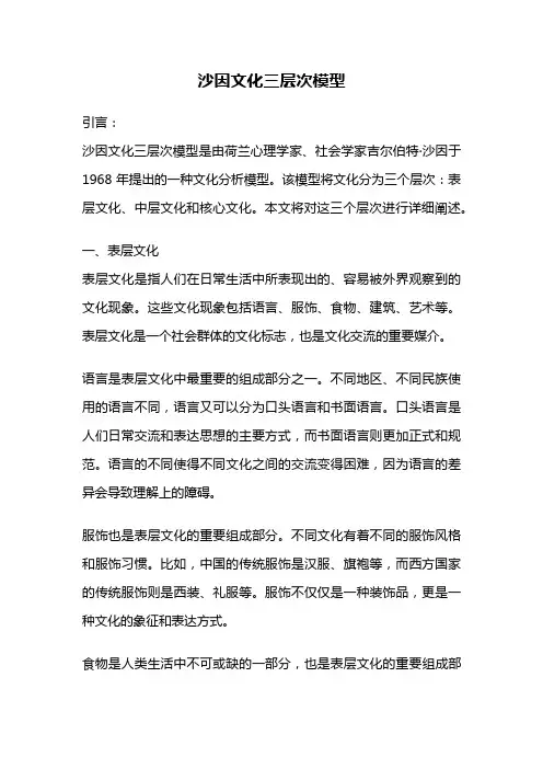 沙因文化三层次模型