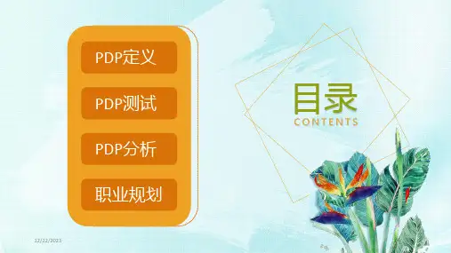 PDP职业性格分析及沟通技巧课件