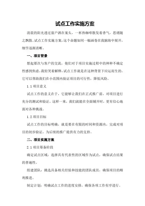 试点工作实施方案