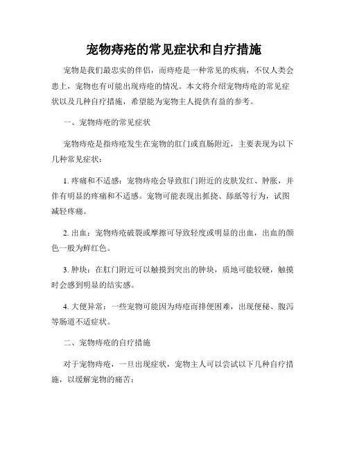 宠物痔疮的常见症状和自疗措施