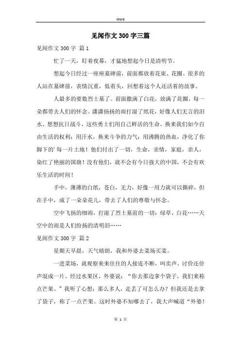 见闻作文300字三篇