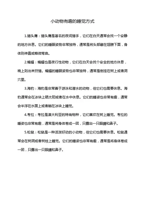 小动物有趣的睡觉方式