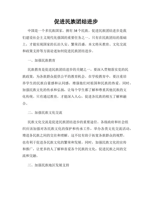 促进民族团结进步
