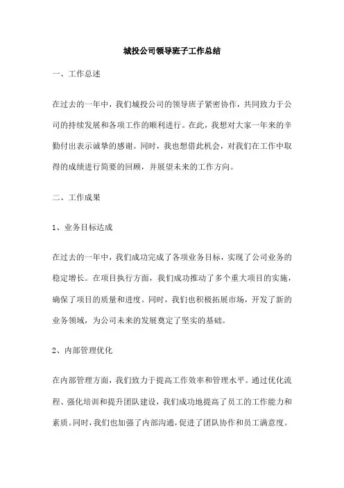 城投公司领导班子工作总结