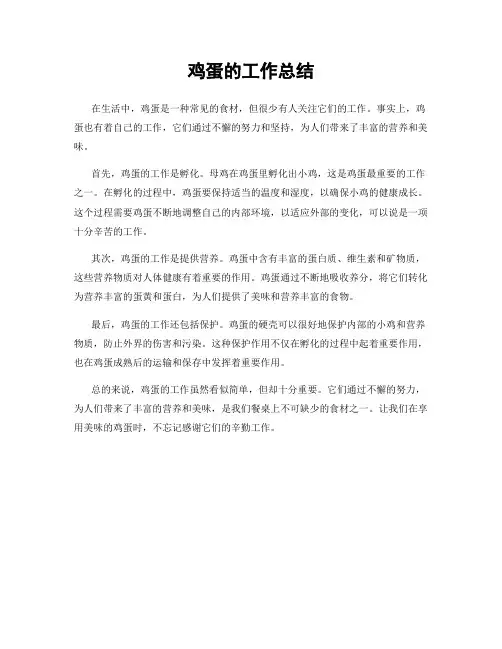鸡蛋的工作总结