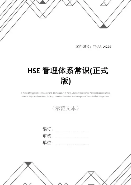 HSE管理体系常识(正式版)