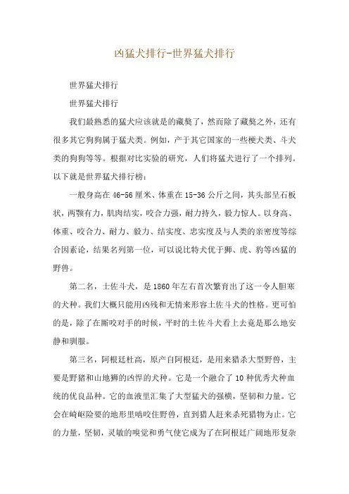 凶猛犬排行-世界猛犬排行