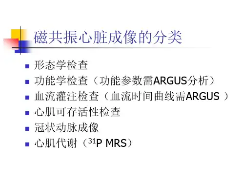 MR心脏成像 PPT课件