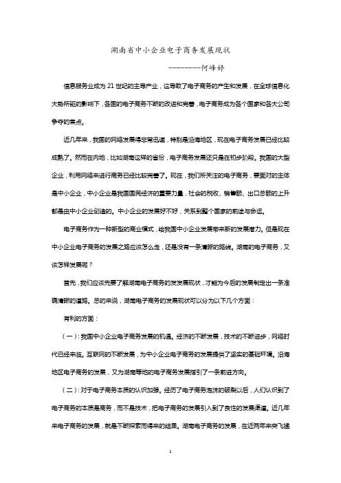 湖南省中小企业电子商务发展现状