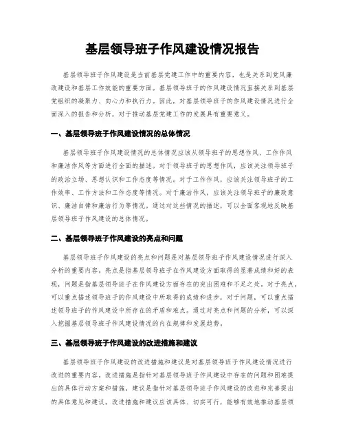 基层领导班子作风建设情况报告