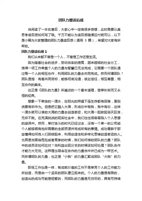 团队力量读后感范文（通用3篇）