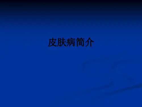皮肤病简介ppt课件